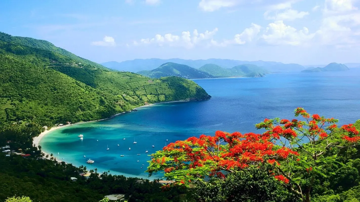 高性能独特高性能